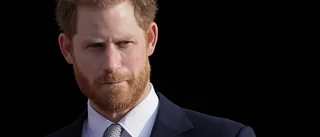 Prins Harry skriver om sin förlust i barnbok