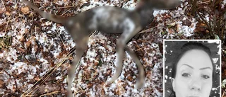 Mysteriet med döda hunden fortfarande olöst