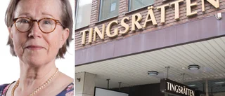 Avsatte SD-nämndemannen fick nej på överklagan: "Har skadat allmänhetens förtroende"