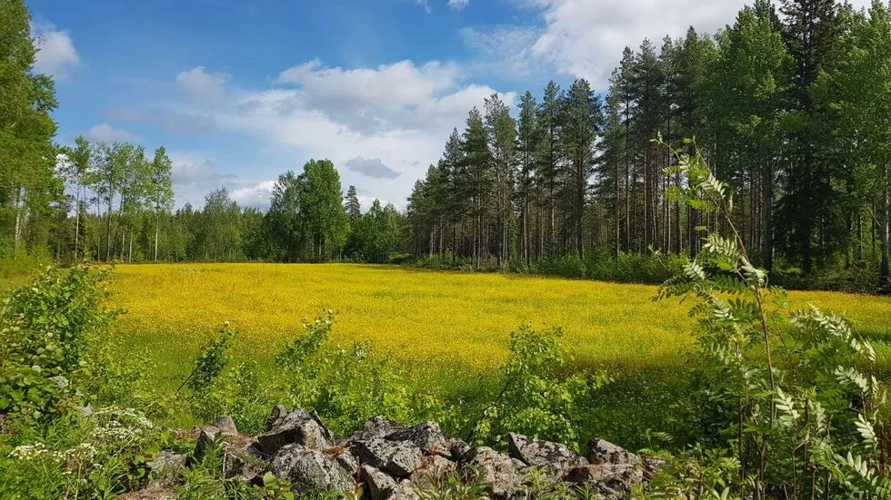 Läsarbilden