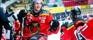 Klart – forwarden förlänger kontraktet med Luleå Hockey
