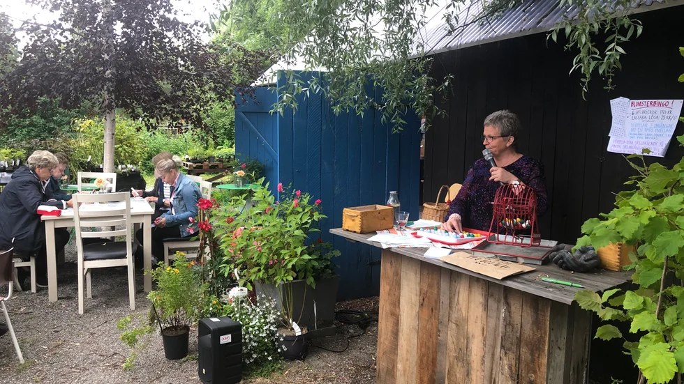 Växtbingon på Piteå handel och trädgård är en populär sommaraktivitet. Karin Markström är bingovärd och håller reda på bokstäver och siffror. "O-gräs 10, G-erbera 14 och N-ejlika 21" kan det höras från mikrofonen.