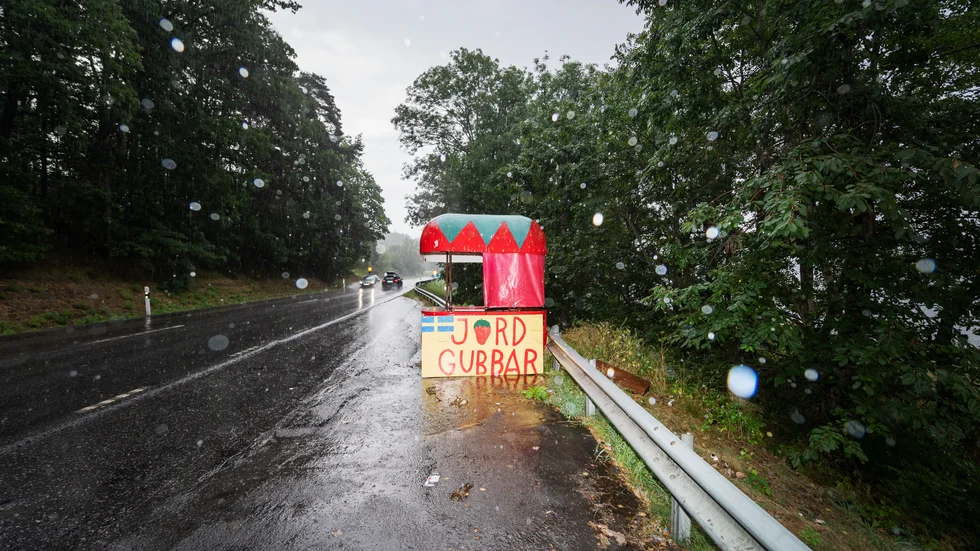 Veckan ser ut att bjuda på regn inledningsvis men under senare delen av veckan blir det växlande molnighet och något högre temperaturer. Högsommarvärme kommer det inte bjudas på.