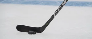 Brottsdömda före detta Lejonspelaren bad om att inte bli draftad – blev vald av NHL-klubb i första rundan