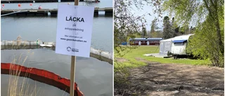 Orenat avloppsvatten rann rakt ut i hamnen