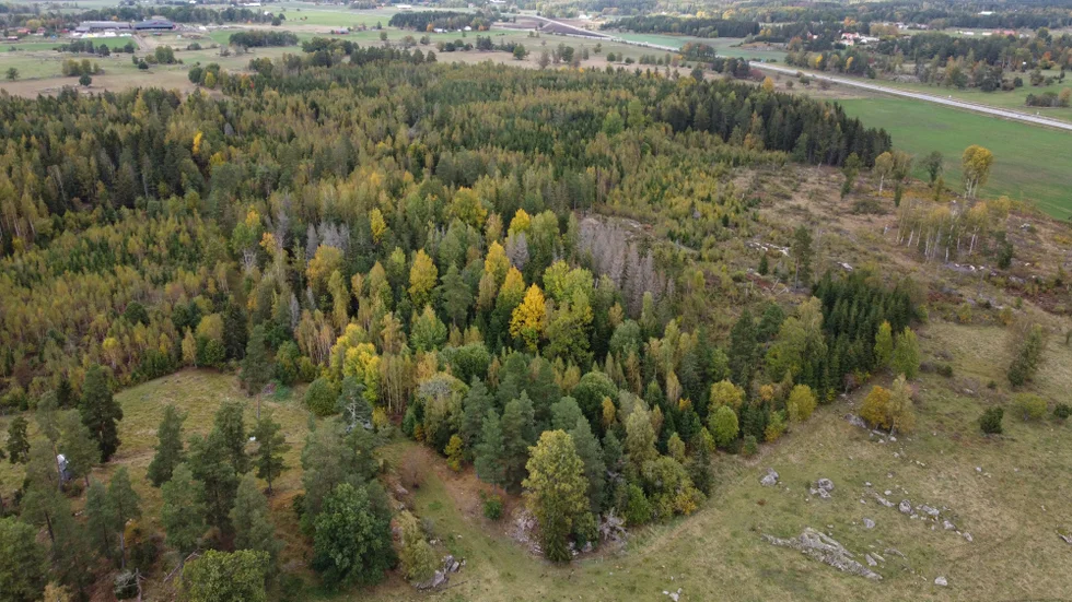 Här, vid Dömestorp söder om Linköping, vill Svevia att Skeda bergtäkt ska ligga.