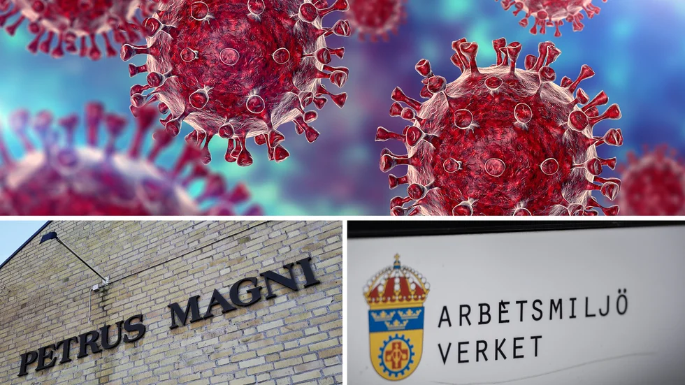 Covidutbrottet på Petrus Magni skola har utretts.