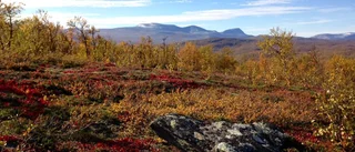 Fjällräddarens tips: Fem saker du inte ska göra när du fjällvandrar