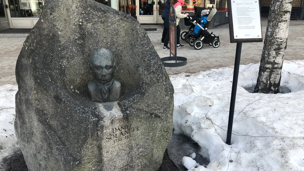 Bysten av Daniel Solander har i dag en aningen undanskymd plats längs Uddmansgatan. I ett medborgarförslag föreslås istället en flytt till Rådhustorget.