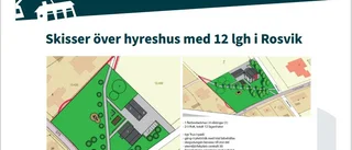 Fritidshus vid havet – eller en lägenhet?