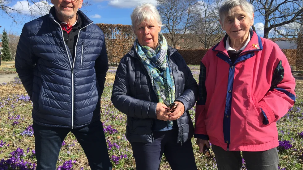 Representanter från styrelsen i Majblomman Enköping. Från vänster Sören Carlsson, Maud Riesten och Lisbeth Hallengreen.