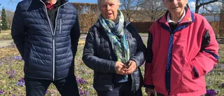Pandemin tvingar Majblomman tänka nytt