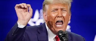 Moderaterna visar sitt rätta ansikte – de hamnar i samma sällskap som Donald Trump