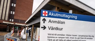 Varför vill ingen prata om väljarnas viktigaste fråga?