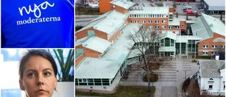 Förslaget: Här är politikern som kan efterträda Almérus