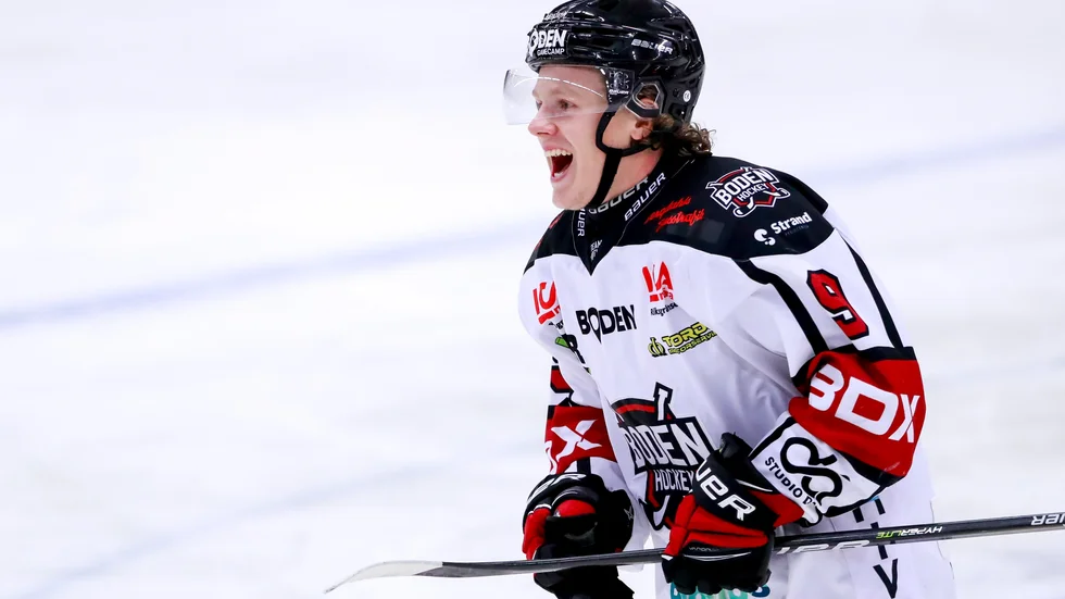 Boden säkrade seriesegern i hockeyettan norra i den sista omgången.