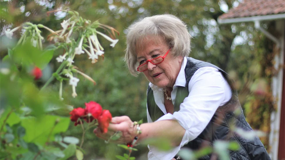Barbro Bragée brinner för lokalproducerad mat. Det märks inte minst på hennes sätt att prata om jordbruk och självförsörjning, men också på hennes ordförandeskap i föreningen KindaMat. Nu tilldelas Barbro LRF:s hedersutmärkelse "Gröna hjärtat" för sitt driv och engagemang. 