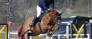 Förhoppningsfulla inför semifinalen på Strömsholm