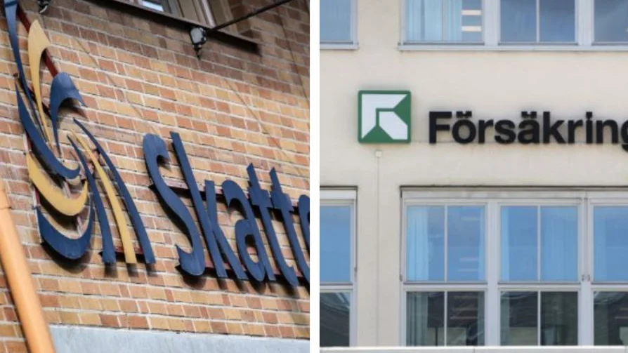 En kvinna var anställd av Skatteverket och Försäkringskassan samtidigt. 
