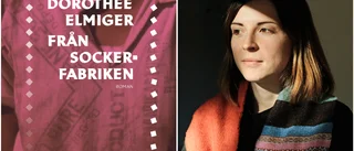 En sockrets idéhistoria och ett svindlande läsäventyr