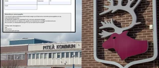 Kommunen testar ny e-tjänst för medborgarförslag: "Intressant se vad Piteåborna föredrar"