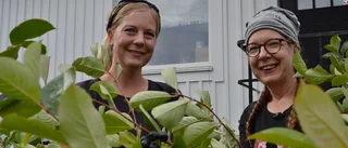 Kärleken till det okända bäret blev deras framgång