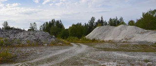 Här finns Europas största kalkfyndighet som kunde löst cementkrisen • Projektet stoppades • "Politiken styrde, det är trist"