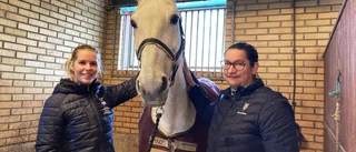 Tierps ryttarklubbs ungdomssektion blev Årets eldsjäl