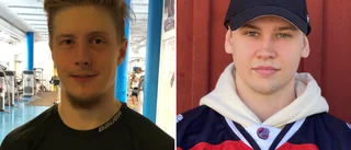Forwardsduon förlänger med Piteå Hockey: "Redo ta stora kliv"
