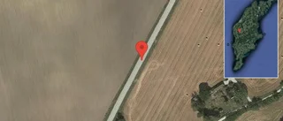 Fallna träd skapar problem i trafiken på väg 578