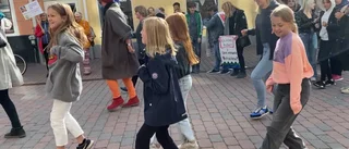 Klimataktivister intog Stortorget – Lina och dottern Siri dansade för djuren och naturen