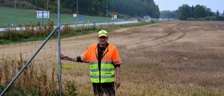 Varning om stor försiktighet i trafiken: "Har sprungit älgar i området i två-tre veckor"
