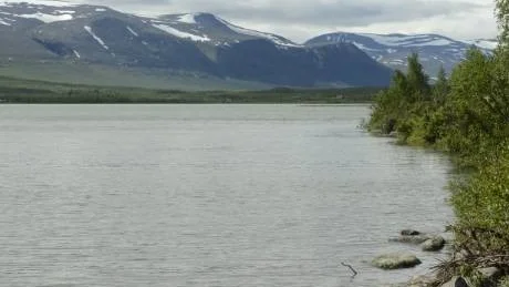 FJÄLLMILJÖ. Paittasjärvi ligger vid Nikkaluokta och är ansedd som en djup, frisk sjö med rikt fiskbestånd och välmående flora.