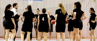 Visby Ladies har gjort klart med ytterligare import