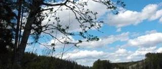 Skärpt fisketillsyn vid Piteälven
