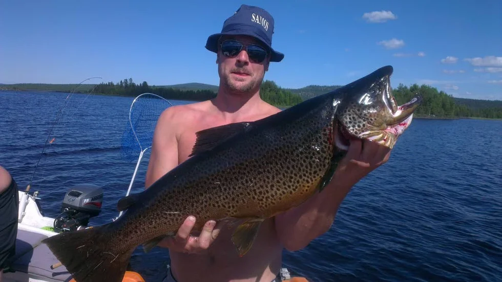 Drömöringen.  Den  fick Ken Hjerpe, Rosvik, på en stor gäddwobbler i Hornavan. Här visar han stolt upp bjässen som vägde 7710 gram och var 85 cm lång. Öringen ger Hjerpe en suverän ledning i halvtid  i öringsklassen i Fiske-DM.