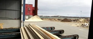 Nytt hopp för Lövholmssågen