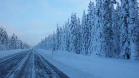 På hemväg från Arvidsjaur stod skogen så här snötyngd