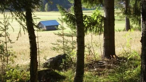 Höstbild från Hemmingsmark den 15 september.