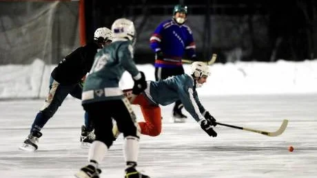 TUFFT MOTSTÅND. Luleå BK mäktade inte med Evergreen från Torneå som till slut vann med hela 12-2.