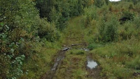 ÅTERFUNNEN. Invid den här skogsvägen upp mot Vassaraberget strax utanför Gällivare återfanns vad som antas var tidigare försvunne Bo Nordvalls döda kropp. Foto: kenth Bergmark