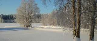 Ingen kan ta dig ifrån mig