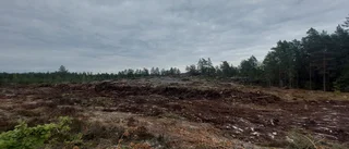 WP ifrågasätter vem som ska övervaka vindkraftsbygge