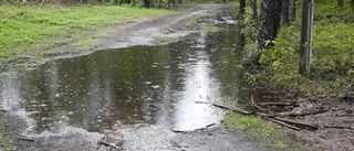 Dagens väderbild