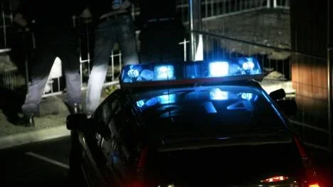 Tack vare vittnen kunde den 20-årige mannen gripas av polis strax efter misshandeln. (Arkivbild).
