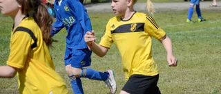 Mixat lag i Norrfjärden