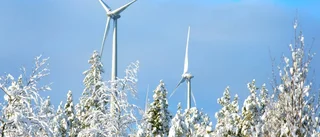 Öppnar för vindkraft i Boden