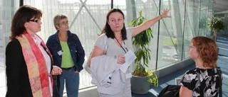 Stor Piteådelegation på besök i Bryssel