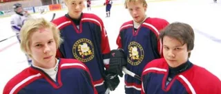 Tung förstadag för TV-pucklaget