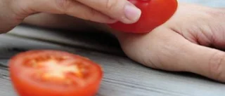 Så kurerar du dig i sommarköket